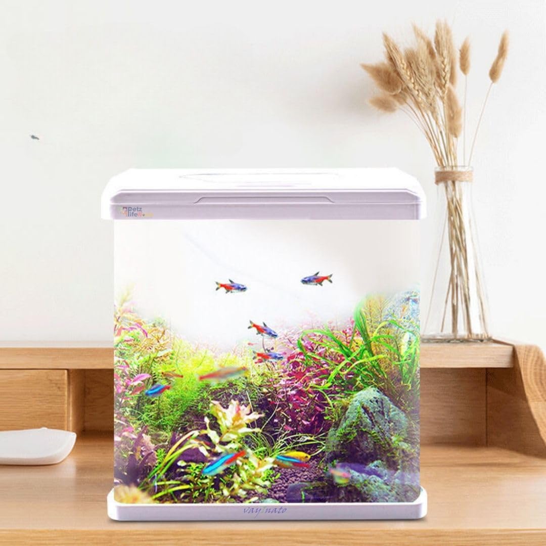 STEP STYLE CURVED LOW IRONAQUARIUM YHR - 280