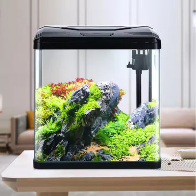 YEE Ultra White Crystal Glass Fish Tank With Aquarium Light and Filter SIZE: 38*24*40 CMS