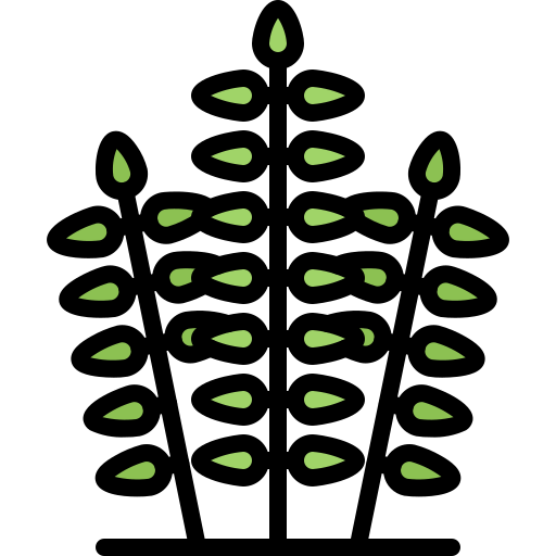 Decorations